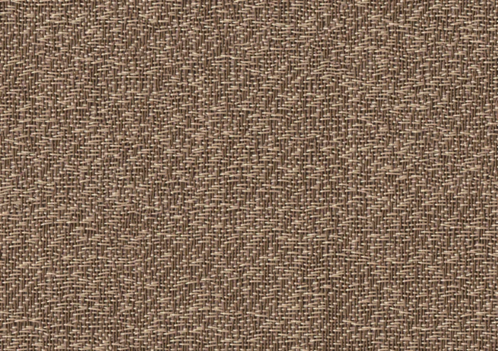 Champagne Beige J527